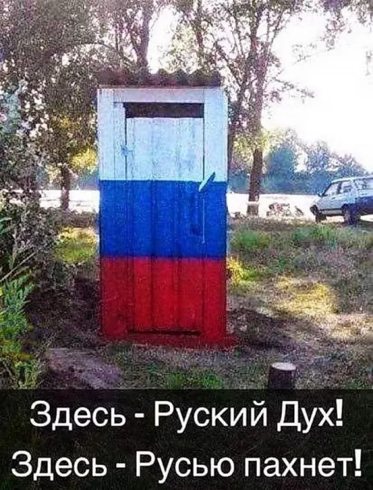 540x710