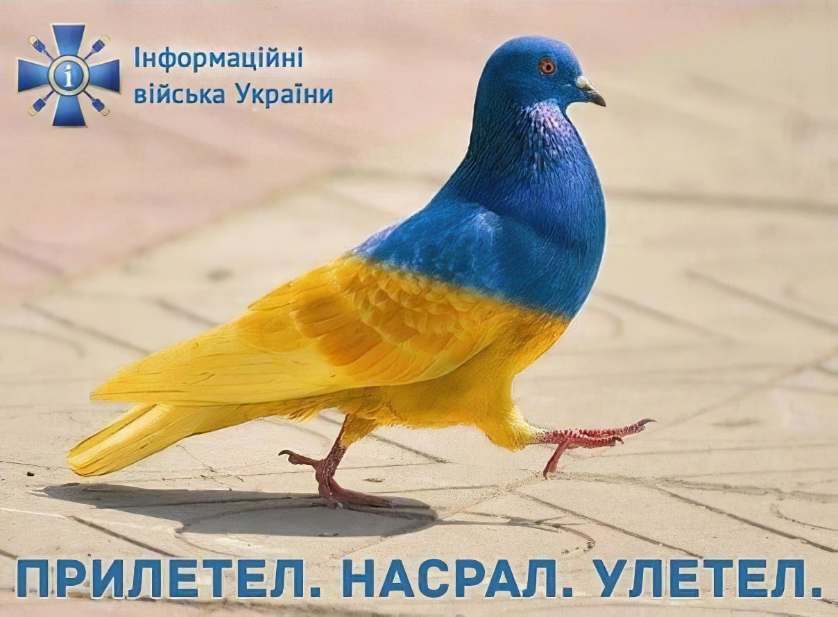 1208x890