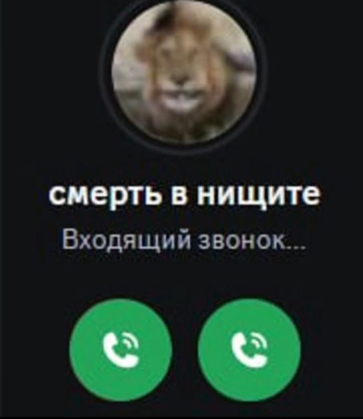 736x849