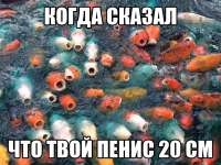 1024x768