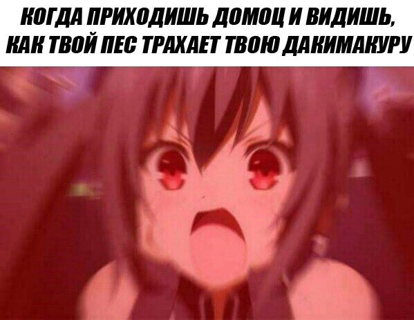 599x463