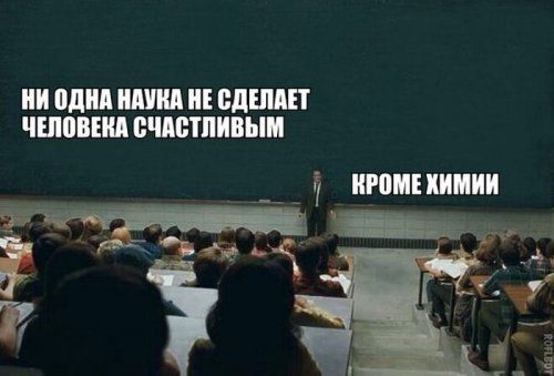 500x339