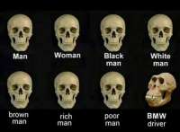 545x403