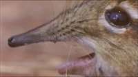 500x282