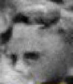 150x174