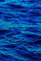 800x1200