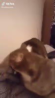 360x640