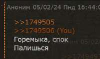 338x202