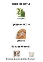 409x580