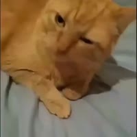 360x360