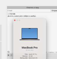966x1000