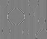 400x333