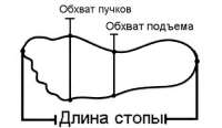 500x290
