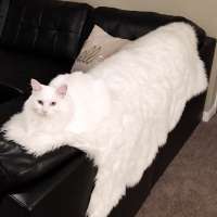 900x900