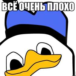 75