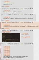 537x811