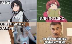 1259x778