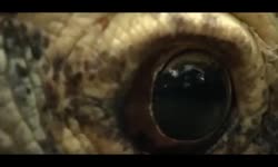400x240