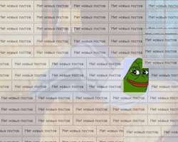 592x475