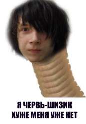 532x768