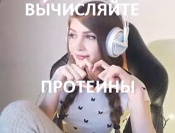 776x592