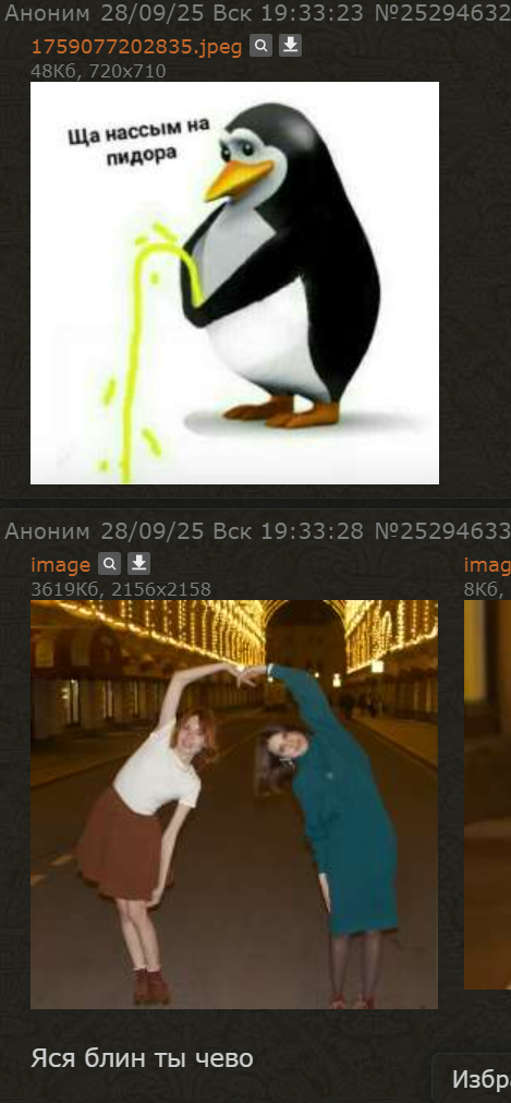 469x1011