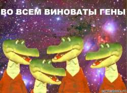600x443