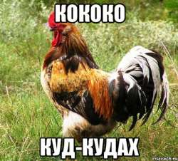 490x443