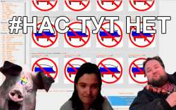 743x469