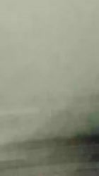 450x800