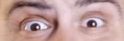 800x270