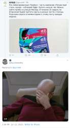 480x865