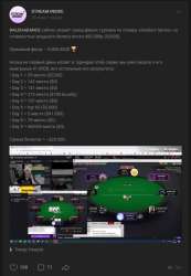 565x815