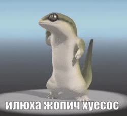 320x294