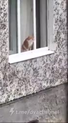 360x640