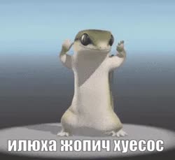 320x294
