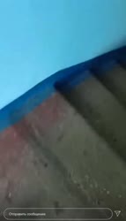 502x872