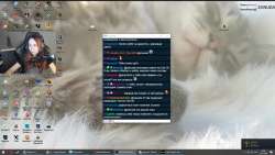 1376x781