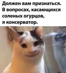 542x604