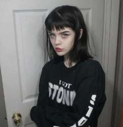 1242x1273