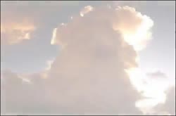 500x330
