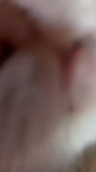 640x1136