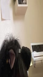 720x1280