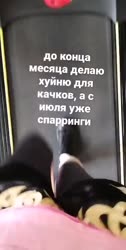 480x950