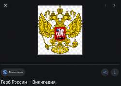 542x387