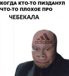 492x543