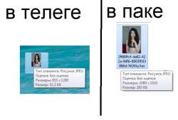 582x395
