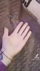 300x532
