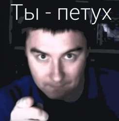 461x470