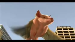 480x272